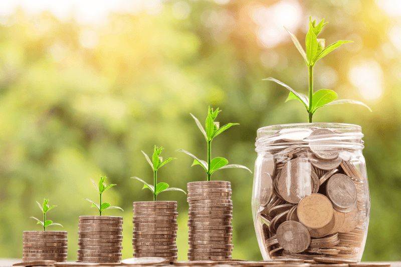 immagine di monete e foglie che crescono per articolo sul recovery fund
