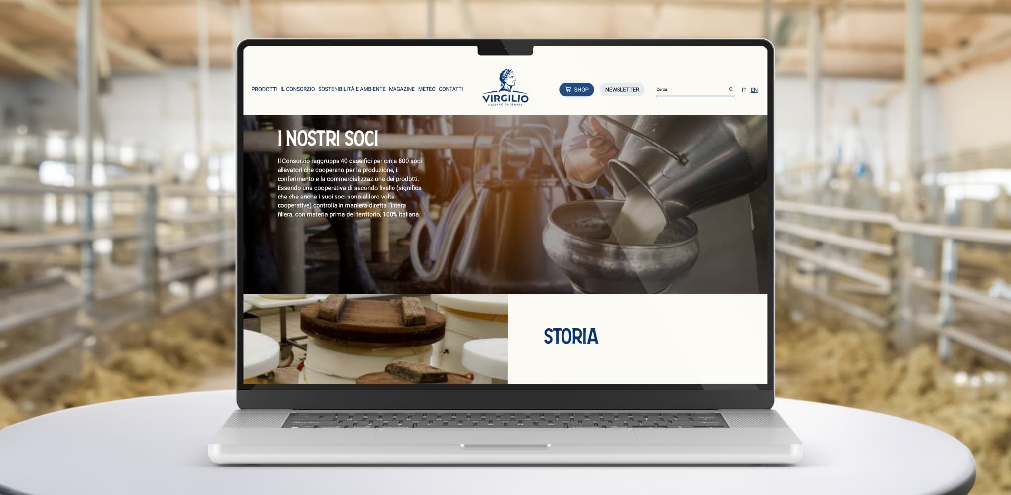 Web Development - Sito Istituzionale